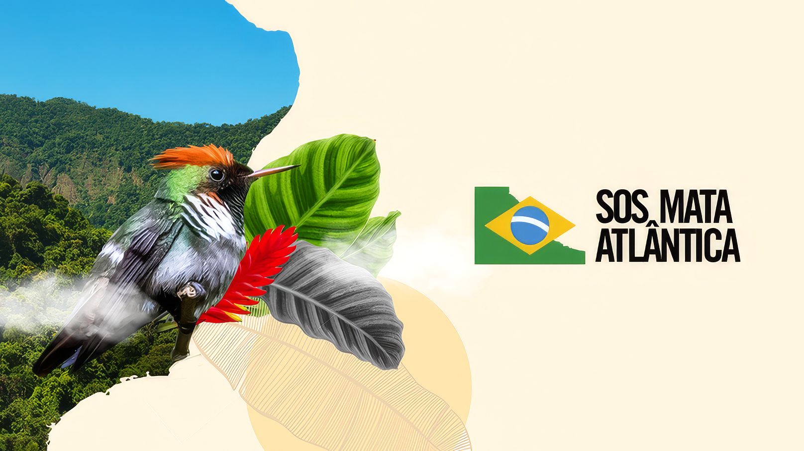 SOS Mata Atlântica
